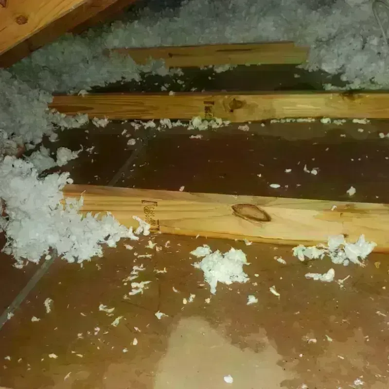 Attic Water Damage in Stratford, WI