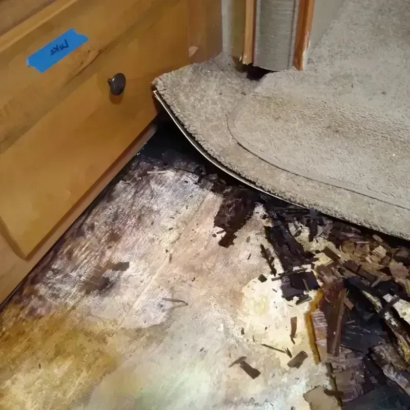 Wood Floor Water Damage in Stratford, WI